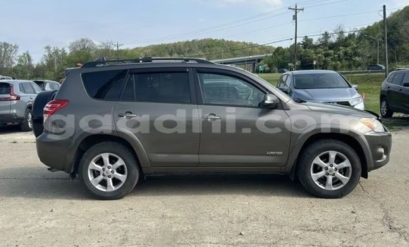 Buy Used Toyota RAV4 Brown Car in Berbera in Somalia Buy Used Toyota RAV4 Brown Car in Berbera in Somalia