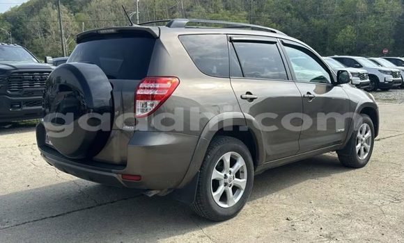 Buy Used Toyota RAV4 Brown Car in Berbera in Somalia Buy Used Toyota RAV4 Brown Car in Berbera in Somalia