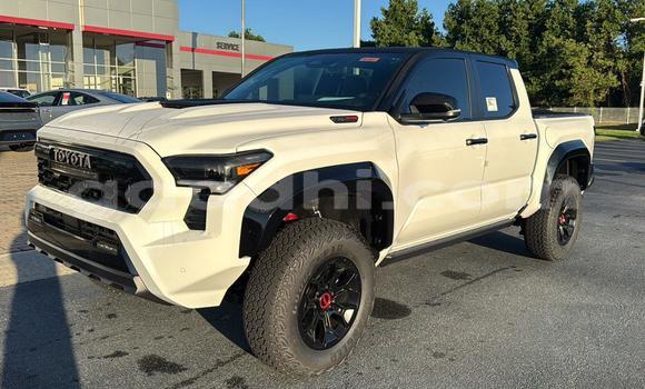 ይግዙ ያገለገለ Toyota Tacoma ነጭ መኪና በ Berbera በ ሶማሊያ ይግዙ ያገለገለ Toyota Tacoma ነጭ መኪና በ Berbera በ ሶማሊያ