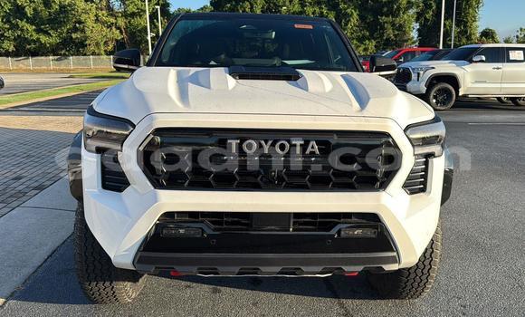 Buy Used Toyota Tacoma White Car in Berbera in Somalia Buy Used Toyota Tacoma White Car in Berbera in Somalia