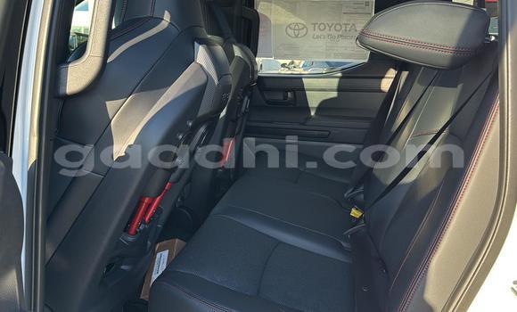 Buy Used Toyota Tacoma White Car in Berbera in Somalia Buy Used Toyota Tacoma White Car in Berbera in Somalia