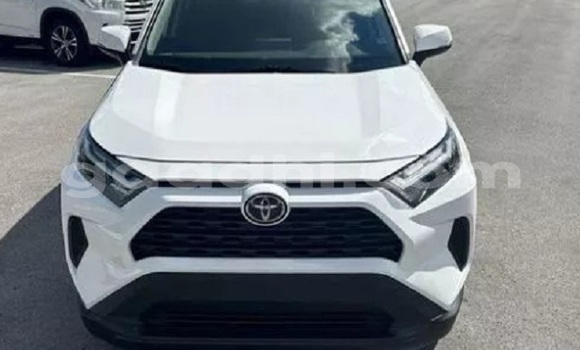 Buy Used Toyota RAV4 White Car in Bandarbeyla in Bari