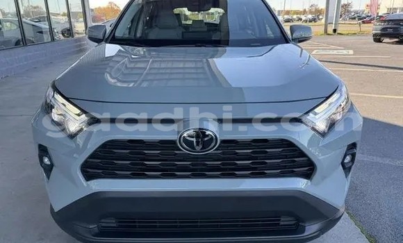 Buy Used Toyota RAV4 Other Car in Bandarmu'ayo in Bari