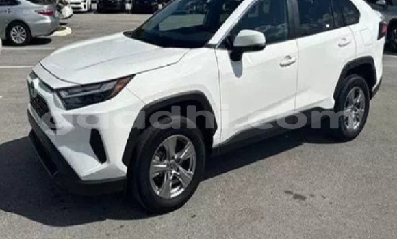 Buy Used Toyota RAV4 White Car in Bandarbeyla in Bari