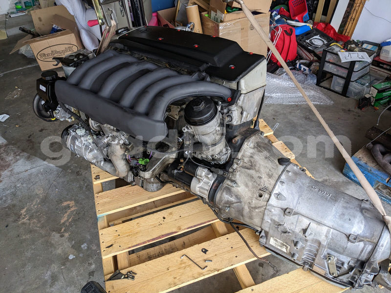 Big with watermark d