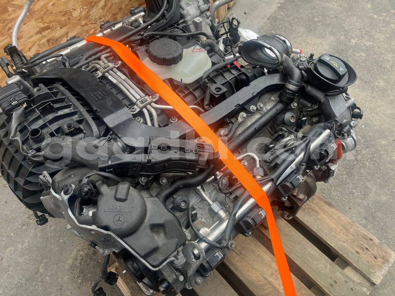 Big with watermark g