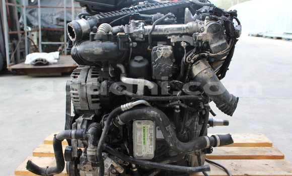 Medium with watermark s l16003