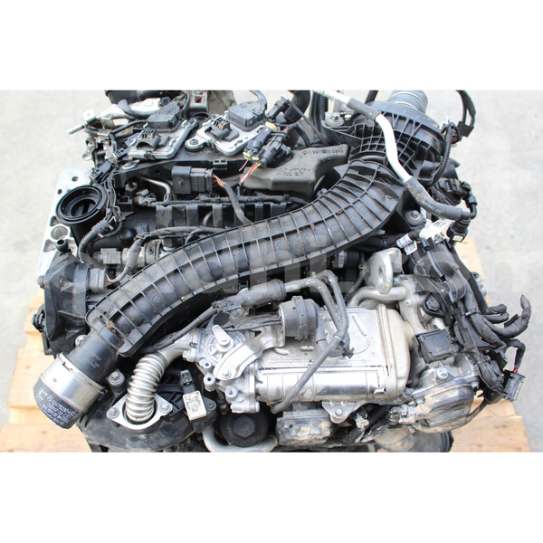 Big with watermark s l16000