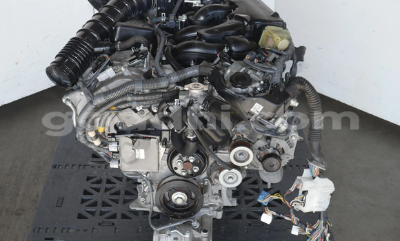 Medium with watermark image a