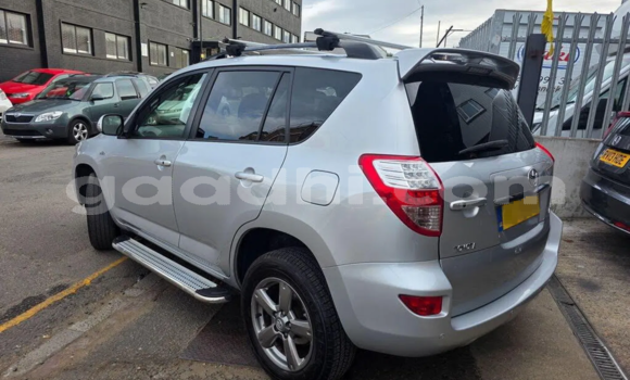 ይግዙ ያገለገለ Toyota RAV4 ብር መኪና በ ሞቃዲሾ በ ሶማሊያ ይግዙ ያገለገለ Toyota RAV4 ብር መኪና በ ሞቃዲሾ በ ሶማሊያ