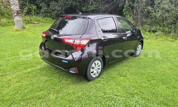 ይግዙ ያገለገለ Toyota Vitz ጥቁር መኪና በ ሞቃዲሾ በ ሶማሊያ ይግዙ ያገለገለ Toyota Vitz ጥቁር መኪና በ ሞቃዲሾ በ ሶማሊያ