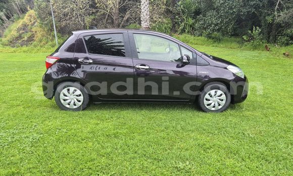 ይግዙ ያገለገለ Toyota Vitz ጥቁር መኪና በ ሞቃዲሾ በ ሶማሊያ ይግዙ ያገለገለ Toyota Vitz ጥቁር መኪና በ ሞቃዲሾ በ ሶማሊያ