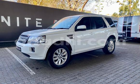 ይግዙ ያገለገለ Land Rover Freelander ነጭ መኪና በ ሞቃዲሾ በ ሶማሊያ ይግዙ ያገለገለ Land Rover Freelander ነጭ መኪና በ ሞቃዲሾ በ ሶማሊያ