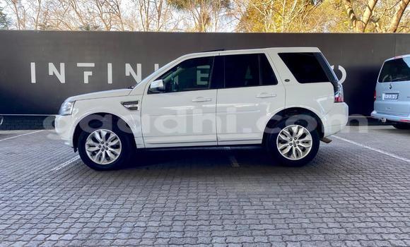 ይግዙ ያገለገለ Land Rover Freelander ነጭ መኪና በ ሞቃዲሾ በ ሶማሊያ ይግዙ ያገለገለ Land Rover Freelander ነጭ መኪና በ ሞቃዲሾ በ ሶማሊያ