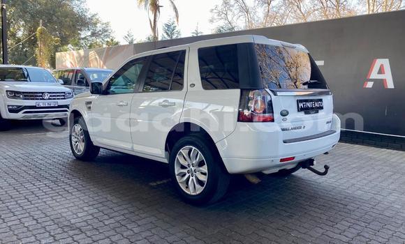 ይግዙ ያገለገለ Land Rover Freelander ነጭ መኪና በ ሞቃዲሾ በ ሶማሊያ ይግዙ ያገለገለ Land Rover Freelander ነጭ መኪና በ ሞቃዲሾ በ ሶማሊያ