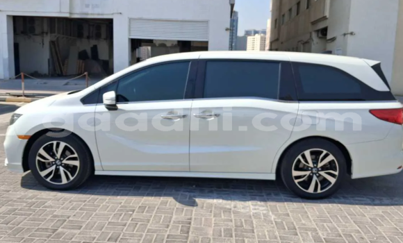 ይግዙ ያገለገለ Honda Odyssey ነጭ መኪና በ ሞቃዲሾ በ ሶማሊያ ይግዙ ያገለገለ Honda Odyssey ነጭ መኪና በ ሞቃዲሾ በ ሶማሊያ