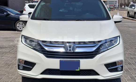 ይግዙ ያገለገለ Honda Odyssey ነጭ መኪና በ ሞቃዲሾ በ ሶማሊያ ይግዙ ያገለገለ Honda Odyssey ነጭ መኪና በ ሞቃዲሾ በ ሶማሊያ