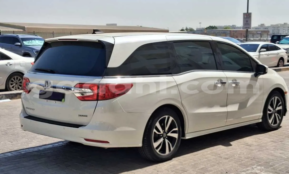 ይግዙ ያገለገለ Honda Odyssey ነጭ መኪና በ ሞቃዲሾ በ ሶማሊያ ይግዙ ያገለገለ Honda Odyssey ነጭ መኪና በ ሞቃዲሾ በ ሶማሊያ