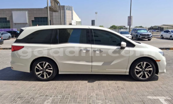 ይግዙ ያገለገለ Honda Odyssey ነጭ መኪና በ ሞቃዲሾ በ ሶማሊያ ይግዙ ያገለገለ Honda Odyssey ነጭ መኪና በ ሞቃዲሾ በ ሶማሊያ