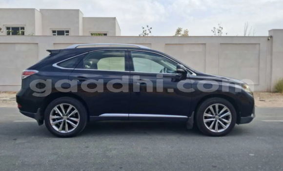 ይግዙ ያገለገለ Lexus RX 350 ጥቁር መኪና በ ሞቃዲሾ በ ሶማሊያ ይግዙ ያገለገለ Lexus RX 350 ጥቁር መኪና በ ሞቃዲሾ በ ሶማሊያ