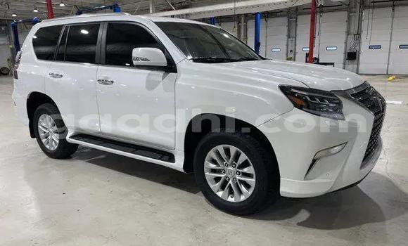 Buy Used Lexus GX White Car in Bandarbeyla in Bari