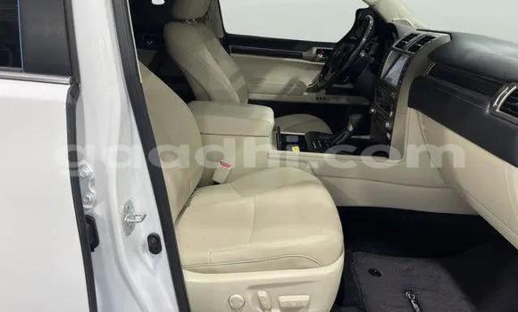 ይግዙ ያገለገለ Lexus GX ነጭ መኪና በ ባንዲርባቤላ በ ባሪ ይግዙ ያገለገለ Lexus GX ነጭ መኪና በ ባንዲርባቤላ በ ባሪ