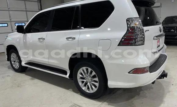 ይግዙ ያገለገለ Lexus GX ነጭ መኪና በ ባንዲርባቤላ በ ባሪ ይግዙ ያገለገለ Lexus GX ነጭ መኪና በ ባንዲርባቤላ በ ባሪ