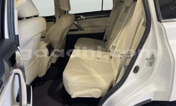 ይግዙ ያገለገለ Lexus GX ነጭ መኪና በ ባንዲርባቤላ በ ባሪ ይግዙ ያገለገለ Lexus GX ነጭ መኪና በ ባንዲርባቤላ በ ባሪ