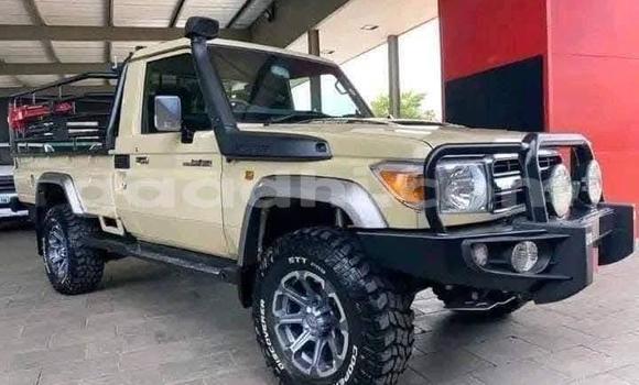 Oofamaa Toyota Land Cruiser Beige Makiinaa iti Mogadishu keessatti Somalia keessatti Oofamaa Toyota Land Cruiser Beige Makiinaa iti Mogadishu keessatti Somalia keessatti