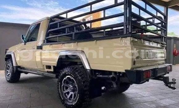 Oofamaa Toyota Land Cruiser Beige Makiinaa iti Mogadishu keessatti Somalia keessatti Oofamaa Toyota Land Cruiser Beige Makiinaa iti Mogadishu keessatti Somalia keessatti