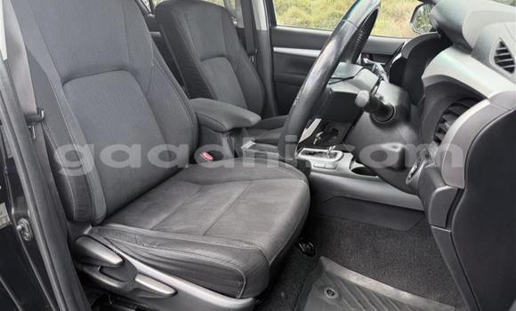 Oofamaa Toyota Hilux Black Makiinaa iti Luq keessatti Gedo keessatti Oofamaa Toyota Hilux Black Makiinaa iti Luq keessatti Gedo keessatti