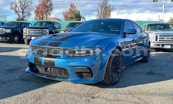Buy Used Dodge Charger Blue Car in Mogadishu in Somalia