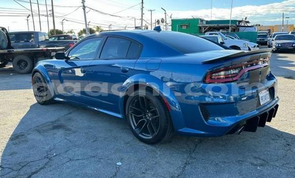 Oofamaa Dodge Charger Blue Makiinaa iti Mogadishu keessatti Somalia keessatti Oofamaa Dodge Charger Blue Makiinaa iti Mogadishu keessatti Somalia keessatti