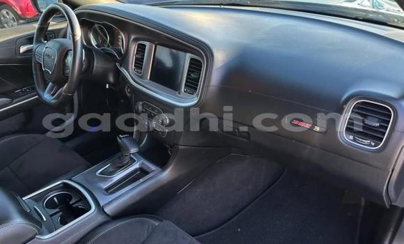 Oofamaa Dodge Charger Blue Makiinaa iti Mogadishu keessatti Somalia keessatti Oofamaa Dodge Charger Blue Makiinaa iti Mogadishu keessatti Somalia keessatti