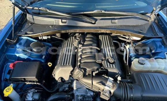 Oofamaa Dodge Charger Blue Makiinaa iti Mogadishu keessatti Somalia keessatti Oofamaa Dodge Charger Blue Makiinaa iti Mogadishu keessatti Somalia keessatti