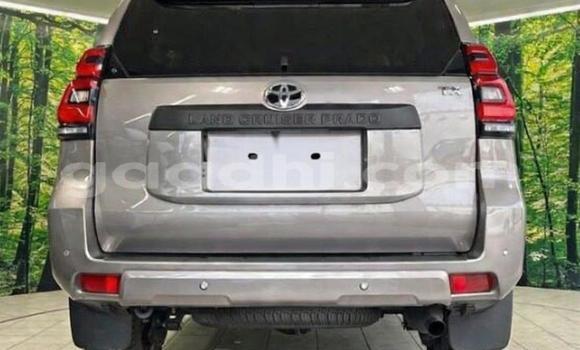 Oofamaa Toyota Land Cruiser Prado Black Makiinaa iti Mogadishu keessatti Somalia keessatti Oofamaa Toyota Land Cruiser Prado Black Makiinaa iti Mogadishu keessatti Somalia keessatti