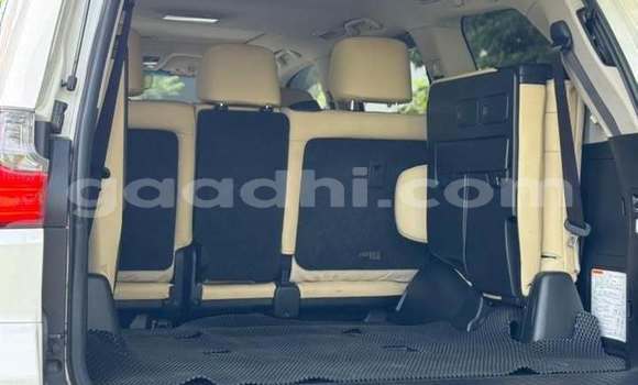 Oofamaa Lexus LX 570 White Makiinaa iti Mogadishu keessatti Somalia keessatti Oofamaa Lexus LX 570 White Makiinaa iti Mogadishu keessatti Somalia keessatti