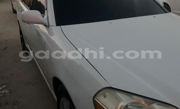Buy Used AM General HMMWV (Humvee) White Car in Hargeysa in Somaliland Buy Used AM General HMMWV (Humvee) White Car in Hargeysa in Somaliland