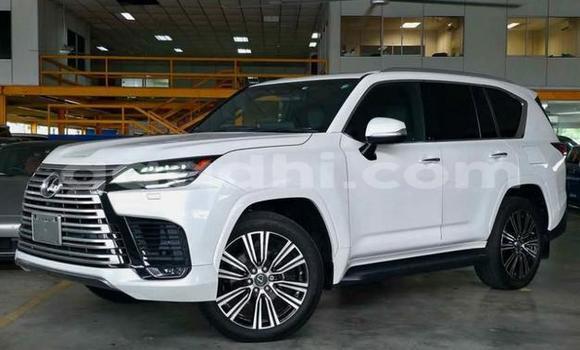 Oofamaa Lexus LX White Makiinaa iti Baki keessatti Awdal keessatti Oofamaa Lexus LX White Makiinaa iti Baki keessatti Awdal keessatti