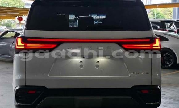 Oofamaa Lexus LX White Makiinaa iti Baki keessatti Awdal keessatti Oofamaa Lexus LX White Makiinaa iti Baki keessatti Awdal keessatti