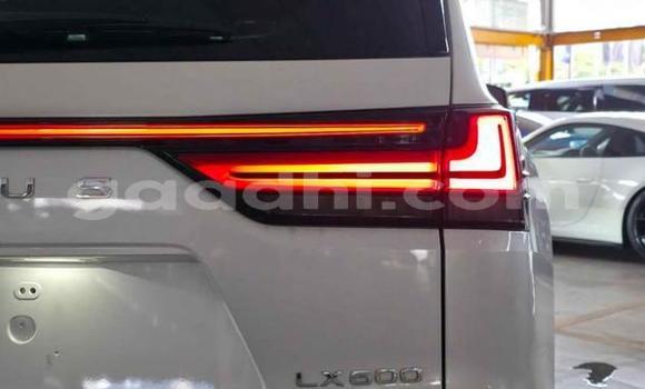 Oofamaa Lexus LX White Makiinaa iti Baki keessatti Awdal keessatti Oofamaa Lexus LX White Makiinaa iti Baki keessatti Awdal keessatti