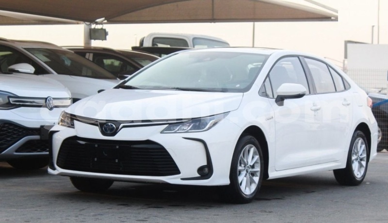 Big with watermark toyota corolla bari bandarmu ayo 5994