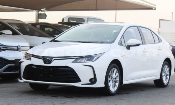 Acheter Occasion Voiture Toyota Corolla Blanc à Bandarmu'ayo, Bari Acheter Occasion Voiture Toyota Corolla Blanc à Bandarmu'ayo, Bari