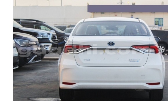 Acheter Occasion Voiture Toyota Corolla Blanc à Bandarmu'ayo, Bari Acheter Occasion Voiture Toyota Corolla Blanc à Bandarmu'ayo, Bari