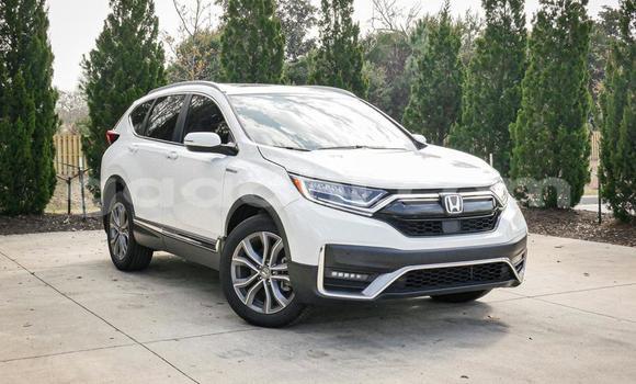Buy Used Honda CR–V White Car in Mogadishu in Somalia
