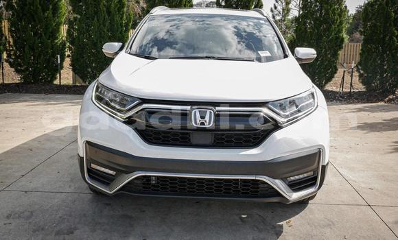 اشتري مستعمل Honda CR–V أبيض سيارة في مقديشو في الصومال اشتري مستعمل Honda CR–V أبيض سيارة في مقديشو في الصومال