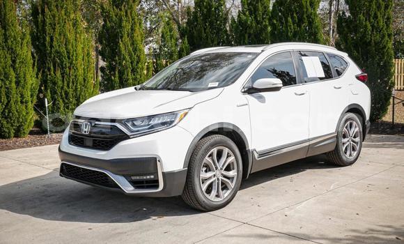 اشتري مستعمل Honda CR–V أبيض سيارة في مقديشو في الصومال اشتري مستعمل Honda CR–V أبيض سيارة في مقديشو في الصومال
