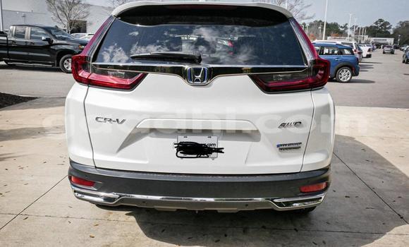 اشتري مستعمل Honda CR–V أبيض سيارة في مقديشو في الصومال اشتري مستعمل Honda CR–V أبيض سيارة في مقديشو في الصومال