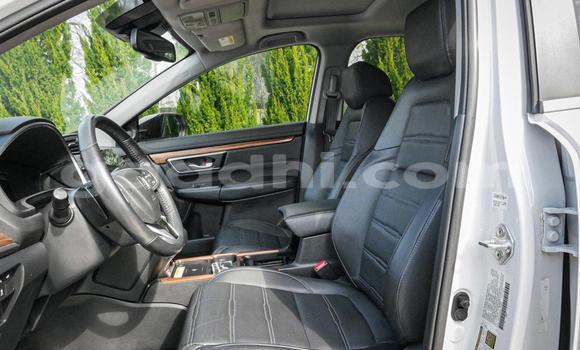 اشتري مستعمل Honda CR–V أبيض سيارة في مقديشو في الصومال اشتري مستعمل Honda CR–V أبيض سيارة في مقديشو في الصومال