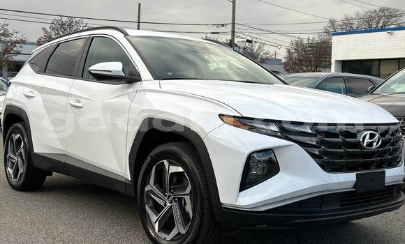 ይግዙ ያገለገለ Hyundai Tucson ነጭ መኪና በ ባንድሩሞኢዮ በ ባሪ